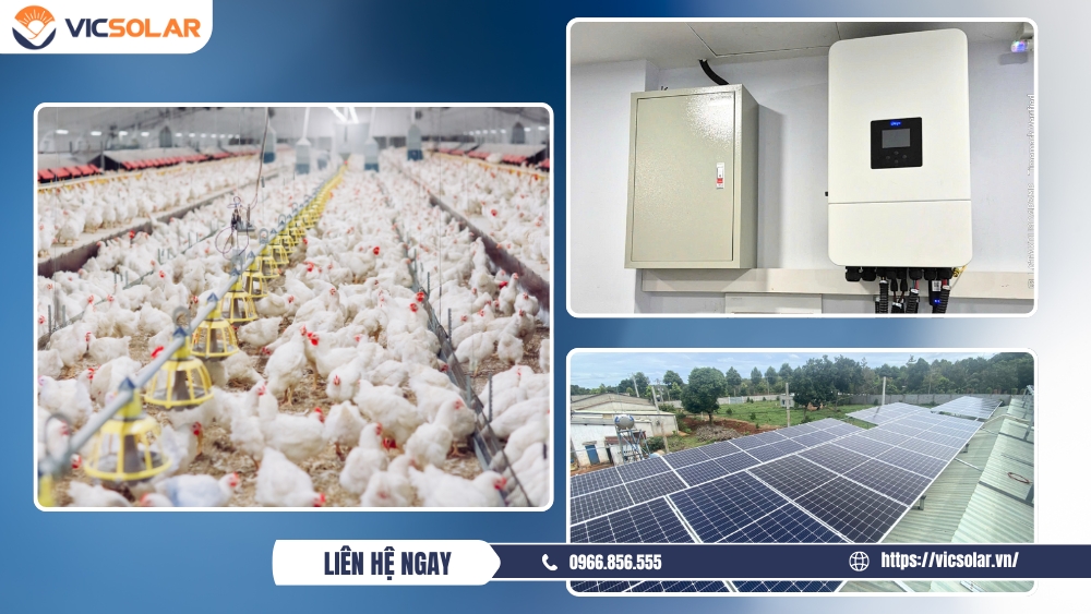 Lắp đặt điện mặt trời áp mái cho trang trại: Giới thiệu